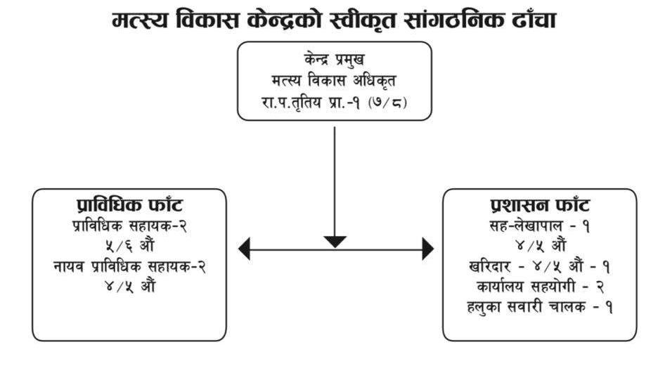 organization structure of fdc mirmi